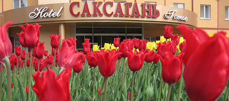 Гостиница Саксагань