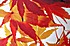 Designer’s Room Autumn Designer’s Room<br/>«Autumn»
